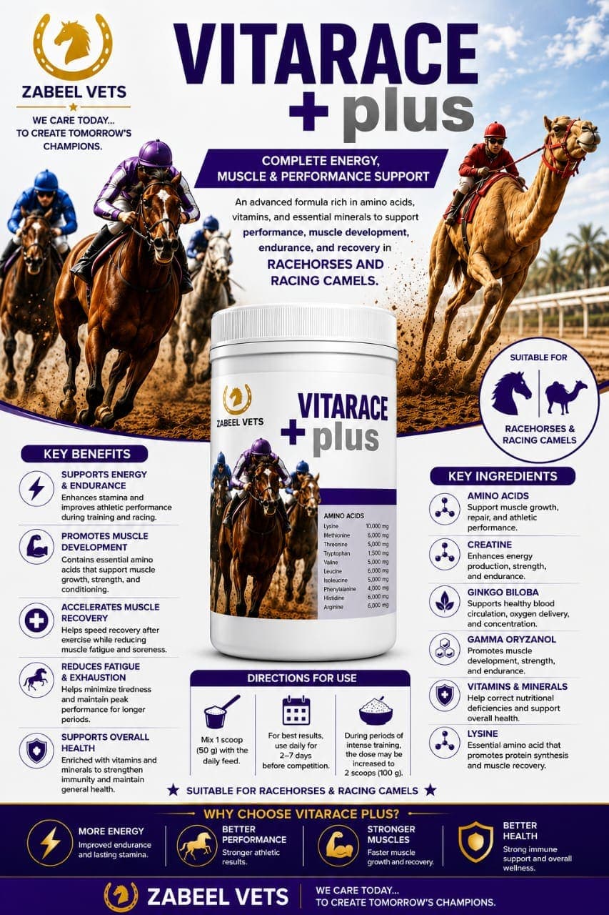 VITARACE+ plus English